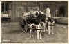 Antique Post Cards of Dogs pulling Carts