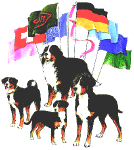 Schweizer Sennenhund Verein e.V. fr Deutschland